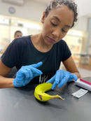 DRY NEEDLING + TERMOGRAFIA + ELETROESTIMULAÇÃO